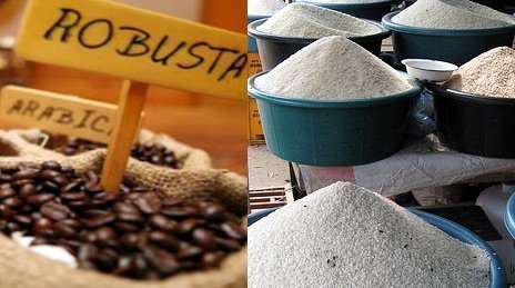 Vị đắng ngôi vị số 1 xuất khẩu gạo