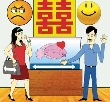 Về thu xếp lại...