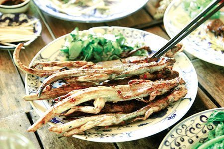 Rộ mốt ăn thằn lằn “tăng cường sức khỏe”