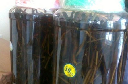 Rượu thuốc phiện: Mất tiền triệu mua thuốc độc