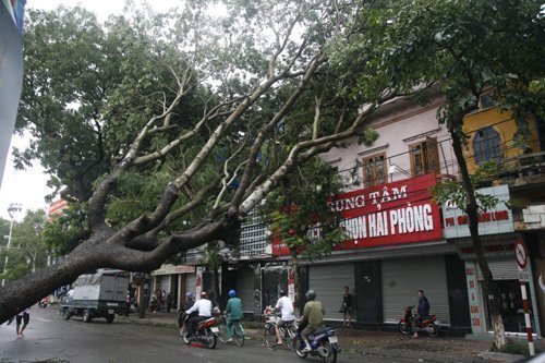 GĐ Sở bỏ trực, nhân viên bắt chẹt cả Bí thư Thành ủy