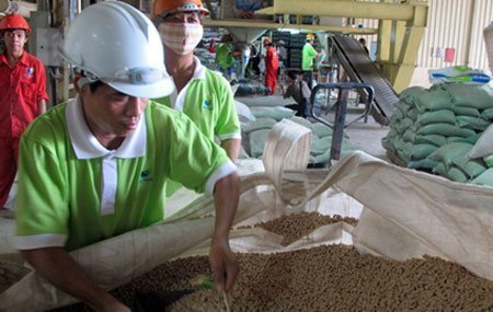 Doanh nghiệp ngoại 'nuốt' ngành chăn nuôi