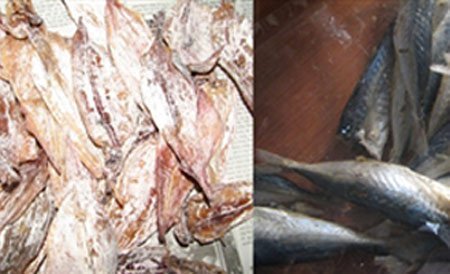 Mực, cá nục khô có chất thuốc trừ sâu
