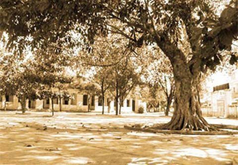 Lớp 'học hay, cày giỏi' và một người ở phía chân trời