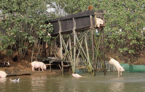 Truyện Quyền Tài