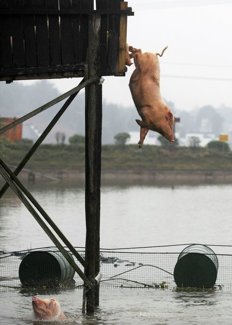 Đoàn phường Thái Hòa (TX.Tân Uyên): Thành lập Câu lạc bộ Bí thư chi đoàn