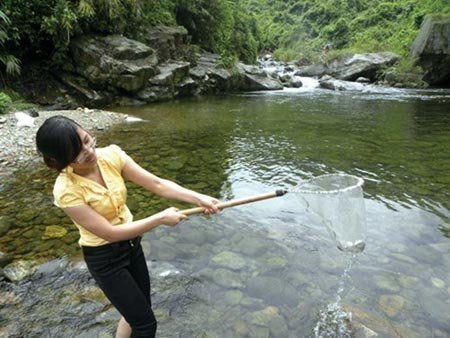 Suối đá huyền diệu dưới chân Tam Đảo