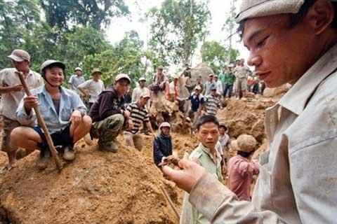 Dân phẫn nộ với kết luận vụ “ăn chặn” kỳ nam