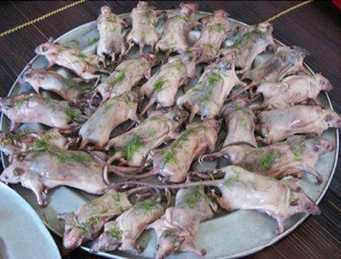 'Chợ chuột': Tấp nập bán mua, không ai quản lý!