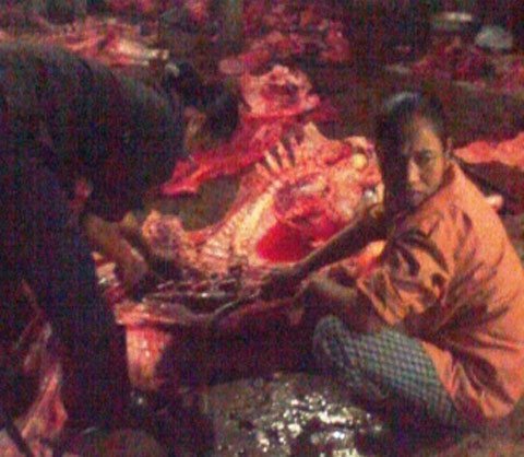 Kinh hoàng công nghệ 'phù phép' thịt trâu bò