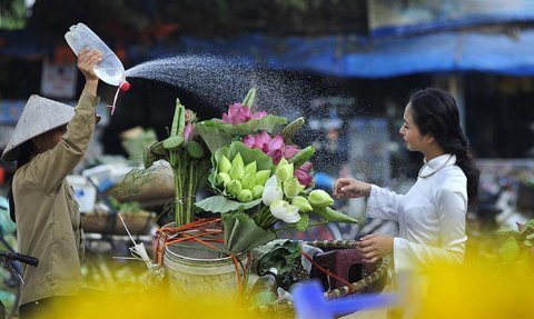 Những khoảnh khắc đẹp của Sen