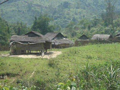 Hàng chục thanh niên khỏe mạnh bỗng điên loạn, quanh năm gào thét