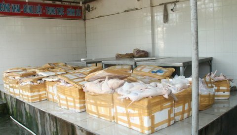 Gần 1,5 tấn heo sữa 'suýt' vào bàn tiệc