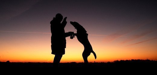 Đức cấm sex... với động vật