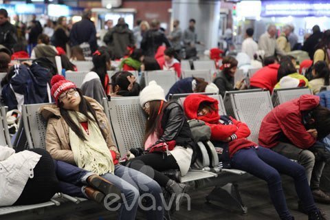 Fan Việt đội mưa rét vạ vật ở sân bay đón sao Hàn