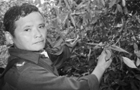 Vườn quả kỳ bí trên đỉnh Vua Đen