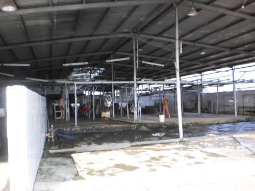 Ế tài sản thế chấp, NH nặng nợ xấu