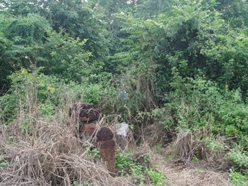 81 tuổi, nhận 20 năm tù vì hiếp dâm trẻ em