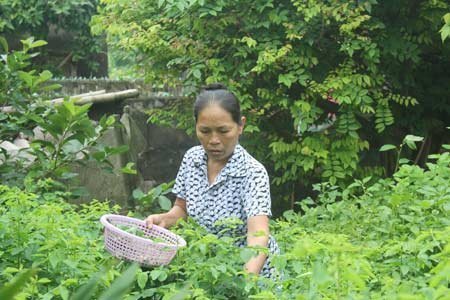 Bệnh khớp không còn đáng sợ
