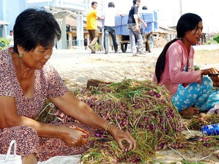 Thị xã 'hỏng mắt' vì bóc hành tím