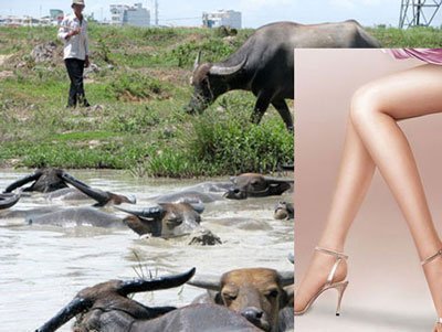 Kết cục thảm của những 