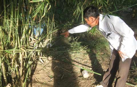 Thời sự trong ngày: Vụ nổ 4 trẻ em thiệt mạng