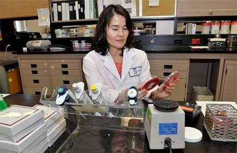 Ngân hàng máu, tinh trùng...ngân hàng phân người?