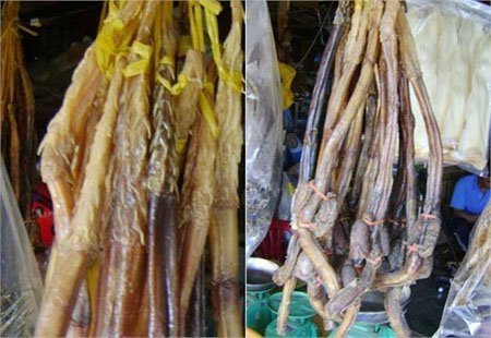 Rễ cây khô biến thành 