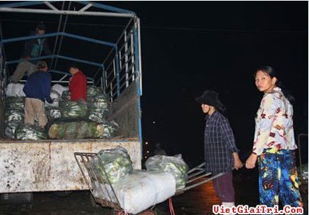Lao động tự do nhịn ăn lo tết