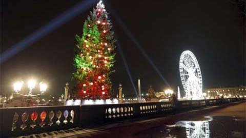 Cây thông Noel rực sáng khắp thế giới