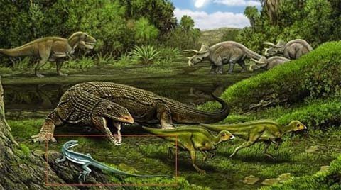 Thằn lằn tuyệt chủng mang tên Obama