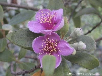 Nửa sau khoảng đời