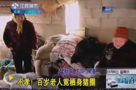 8 người con để mẹ già sống trong chuồng lợn