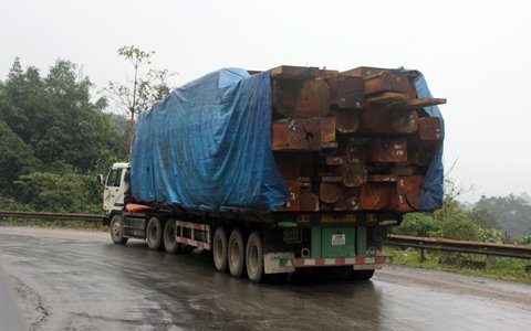 Áp quy định khác nhau: Nhập khẩu gỗ bế tắc