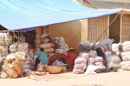 Chiêu hóa phép rau củ Trung Quốc thành hàng Việt