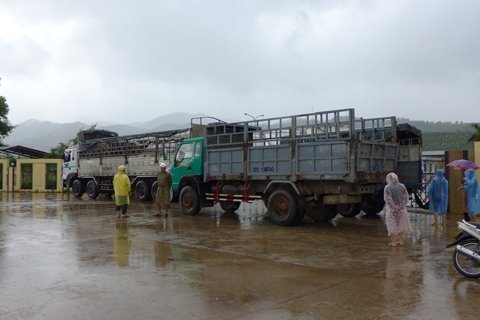 Vây DN đòi nợ tiền nguyên liệu xăng E5