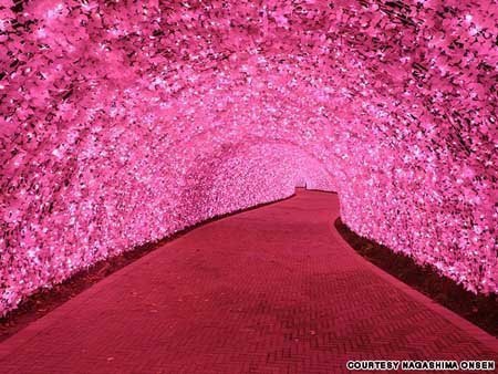 Choáng ngợp với 