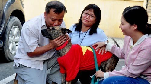 Tìm lại ngôi vương cho giống chó Phú Quốc