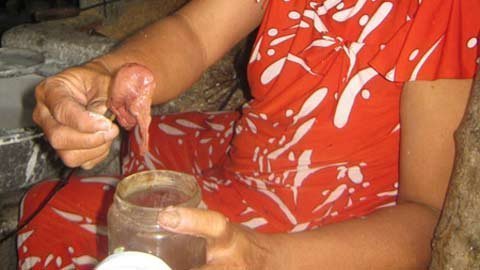 Kỳ lạ chuyện mèo 