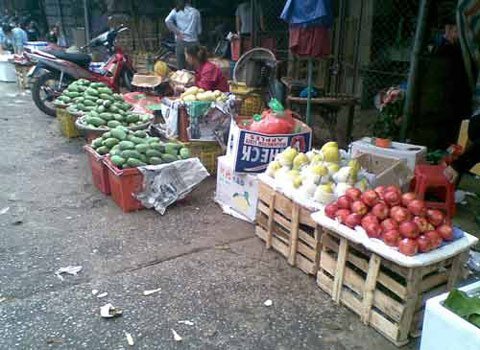 Rau quả thải loại thành hàng… quê