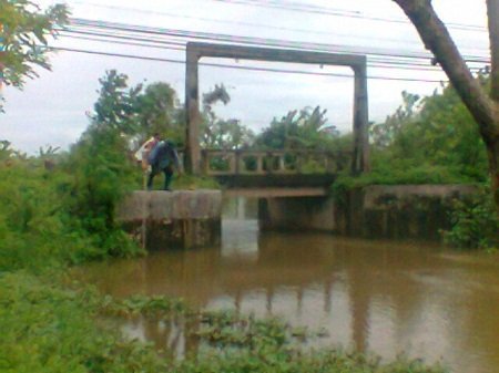 Người đàn ông ở bến không chồng