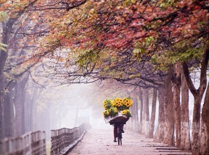 Tản mạn những ngày Đông