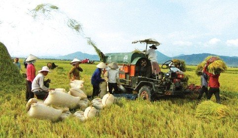 Không ai 'tự do' như nông dân Việt