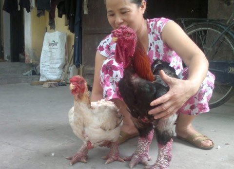 Cả năm săn tìm, thửa hàng “độc