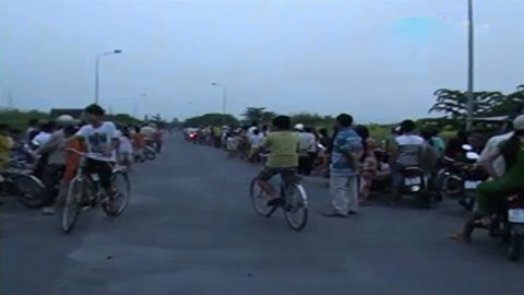 Hàng trăm người xem chim én về tổ