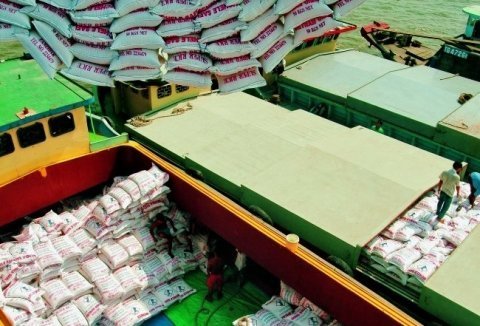 Tháo gỡ nghịch lý trong nông nghiệp