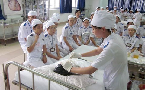Sang Đức làm điều dưỡng, lương 55 triệu