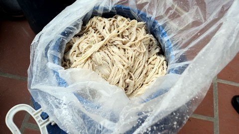 Bác sĩ viện K 'vạch mặt' thủ phạm gây ung thư