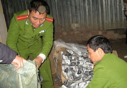 Bắt trên 1.000 đôi giầy Adidas và Nike nhập lậu