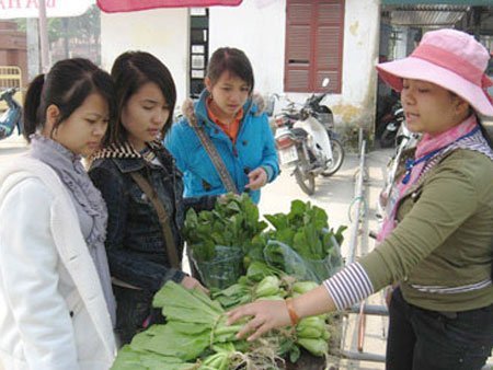 Sinh viên lao đao vì 'bão giá'